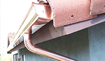 Rain Gutter Installation, Repair, Cleaning in Forreston, IL